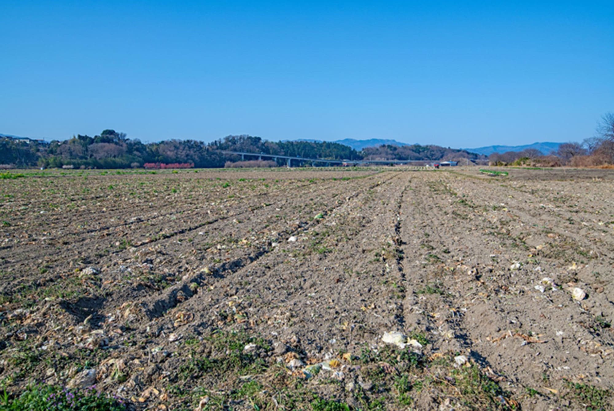 農地を活用するには？おすすめの土地活用・方法を解説